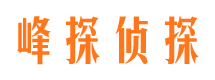 嘉陵寻人公司